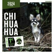 Calendrier 2024 Chihuahua