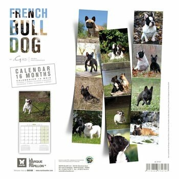 Calendrier 2024 Bouledogue français Calendrier 2024 Bouledogue français