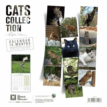 Calendrier 2024 Chat Calendrier 2024 Chat