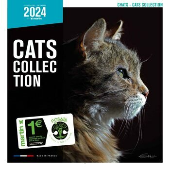 Calendrier 2024 Chat Calendrier 2024 Chat