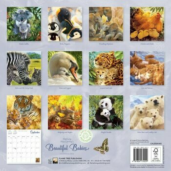 Calendrier 2024 Dessin Bébé Animaux Calendrier 2024 Dessin Bébé Animaux