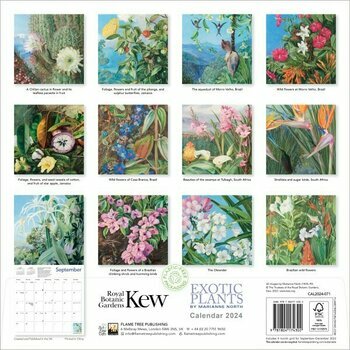 Calendrier 2024 Dessin Fleur exotique - Marianne North Calendrier 2024 Dessin Fleur exotique - Marianne North