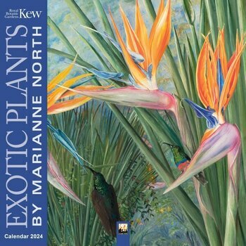 Calendrier 2024 Dessin Fleur exotique - Marianne North Calendrier 2024 Dessin Fleur exotique - Marianne North