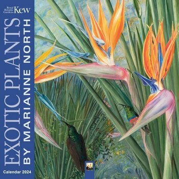 Calendrier 2024 Dessin Fleur exotique - Marianne North