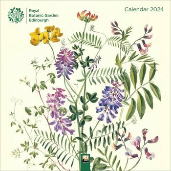 Calendrier 2024 Dessin Botanique retro