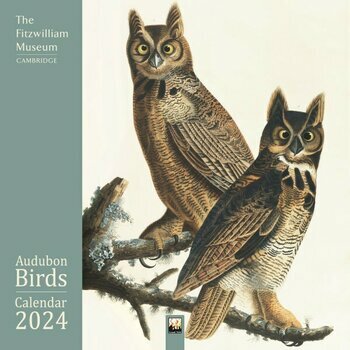 Calendrier 2024 Oiseaux Audubon
