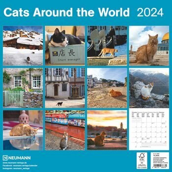 Calendrier 2024 Chats autour du monde Calendrier 2024 Chats autour du monde