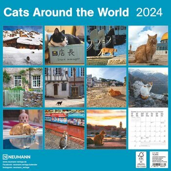 Calendrier 2024 Chats autour du monde