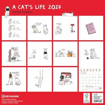 Calendrier 2024 BD humour chat - a cat's life
