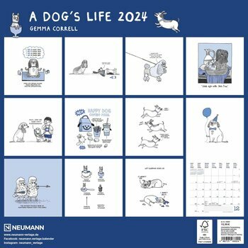 Calendrier 2024 BD humour chien - a dog's life