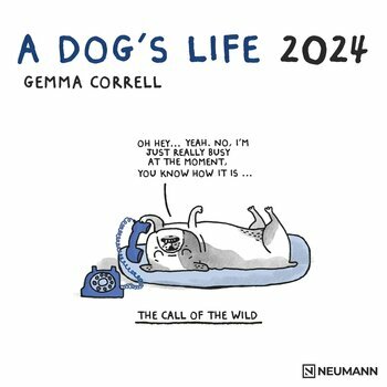 Calendrier 2024 BD humour chien - a dog's life