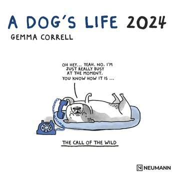Calendrier 2024 BD humour chien - a dog's life Calendrier 2024 BD humour chien - a dog's life