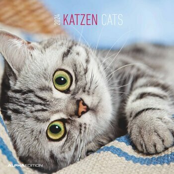 Calendrier 2024 Chat Calendrier 2024 Chat