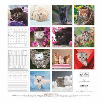 Calendrier 2024 Chatons