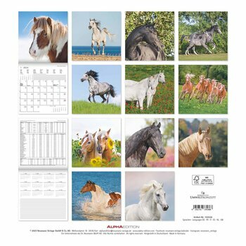 Calendrier 2024 Chevaux