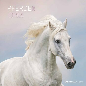 Calendrier 2024 Chevaux Calendrier 2024 Chevaux