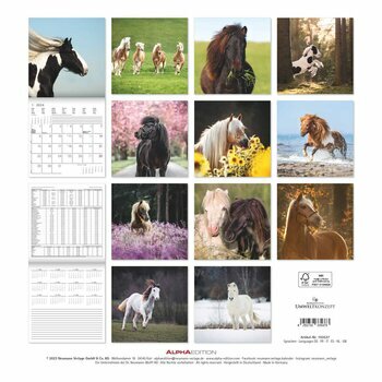 Calendrier 2024 Poney