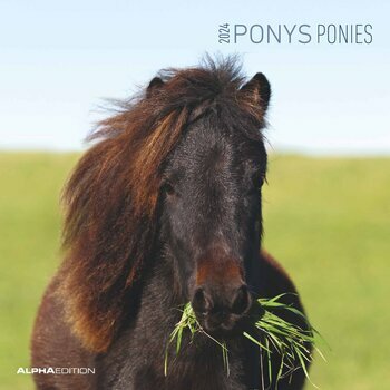 Calendrier 2024 Poney