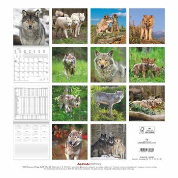 Calendrier 2024 Loup Calendrier 2024 Loup