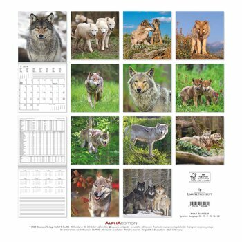 Calendrier 2024 Loup