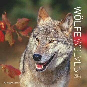 Calendrier 2024 Loup Calendrier 2024 Loup