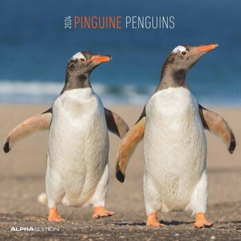 Calendrier 2024 Pingouin Calendrier 2024 Pingouin