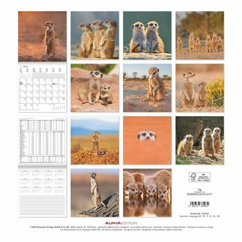 Calendrier 2024 Suricate