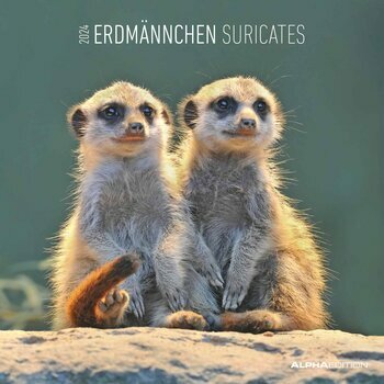 Calendrier 2024 Suricate Calendrier 2024 Suricate