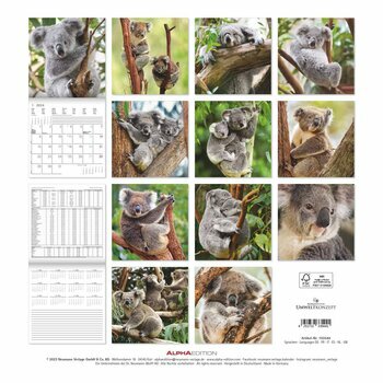 Calendrier 2024 Koala Calendrier 2024 Koala