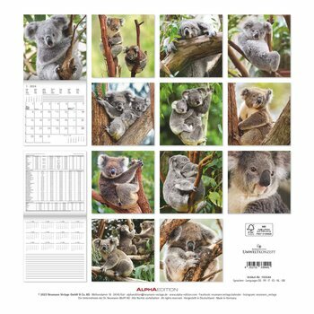 Calendrier 2024 Koala