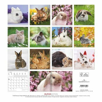 Calendrier 2024 Lapin