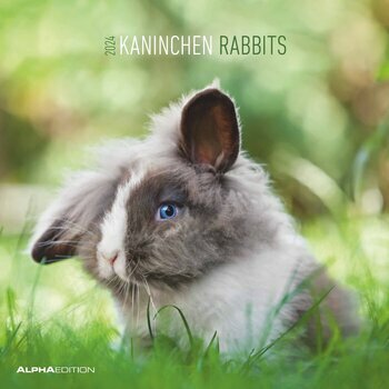 Calendrier 2024 Lapin Calendrier 2024 Lapin