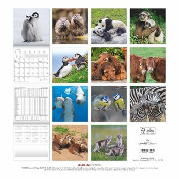 Calendrier 2024 Animaux inséparables Calendrier 2024 Animaux inséparables