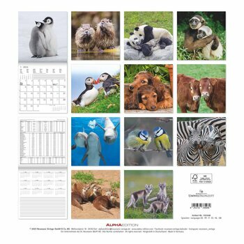 Le calendrier 2024 est disponible - Cosa Animalia