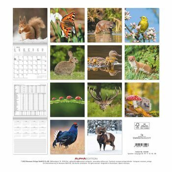 Calendrier 2024 Animaux de la forêt Calendrier 2024 Animaux de la forêt