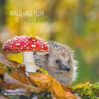 Calendrier 2024 Animaux de la forêt Calendrier 2024 Animaux de la forêt