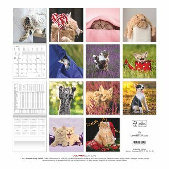 Calendrier 2024 Chats funny Calendrier 2024 Chats funny