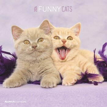 Calendrier 2024 Chats funny Calendrier 2024 Chats funny