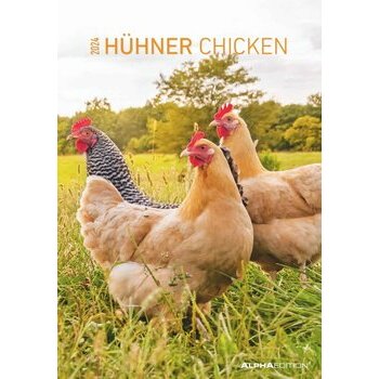 Maxi Calendrier 2024 Poule Maxi Calendrier 2024 Poule