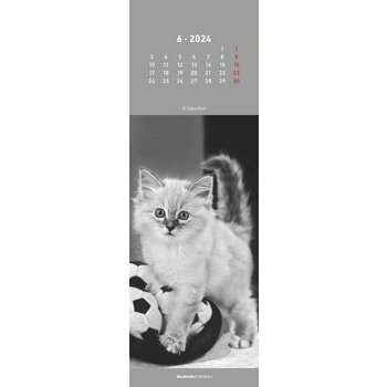 Calendrier marque page chat 2024