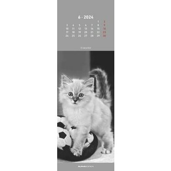 Calendrier marque page chat 2024 Calendrier marque page chat 2024