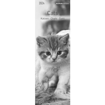 Calendrier marque-pages - 2024 - Aquarupella - 16 mois - Chats Noir&Blanc -  40 x 160 mm