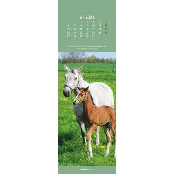 Calendrier marque page chevaux 2024 Calendrier marque page chevaux 2024