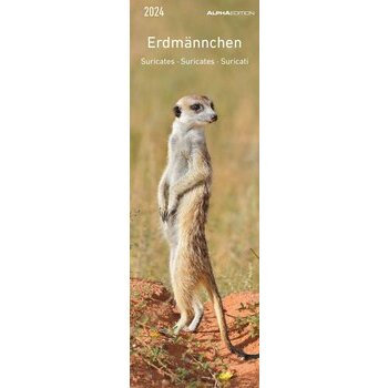 Calendrier marque page suricate 2024