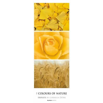 Grand Calendrier slim Nature 2024 Grand Calendrier slim Nature 2024