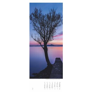 Grand Calendrier slim Arbre 2024