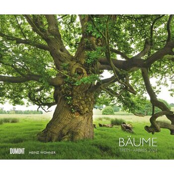 Maxi Calendrier 2024 Arbre