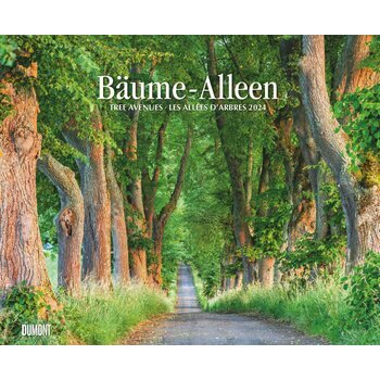 Maxi Calendrier 2024 Allée d'arbres