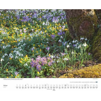 Maxi Calendrier 2024 Promenade au jardin