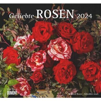 Maxi Calendrier 2024 Roses